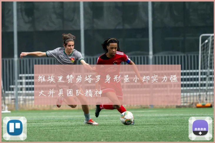 维埃里赞劳塔罗身形虽小却实力强大并具团队精神